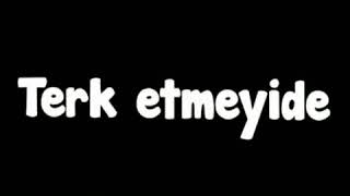 Biz Hic Beceremedik....