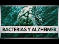 Bacterias y Alzheimers 🧩 | ¿La higiene dental previene el Alzheimer?