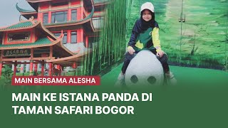 Serunya Main Ke Istana Panda Taman Safari Bogor - Main Bersama Alesha