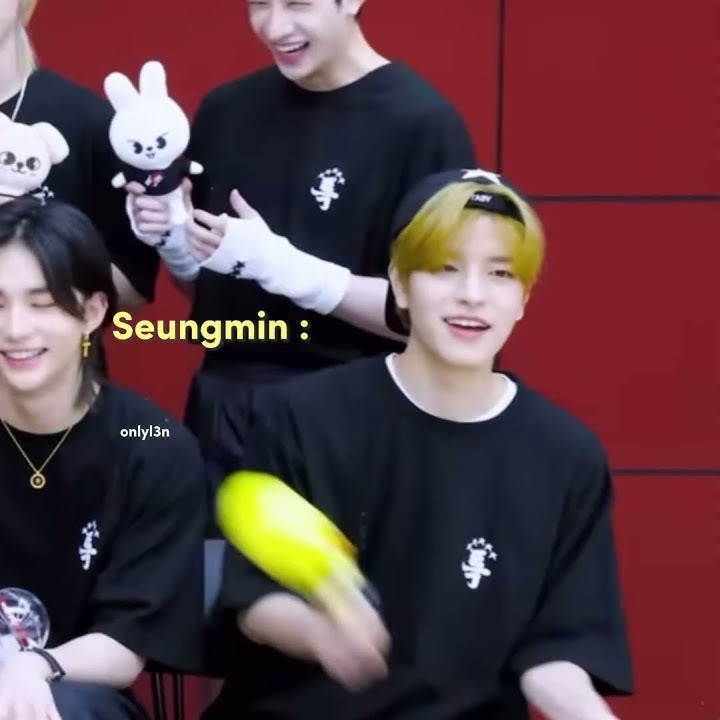 Poor Bbokari 😢🐤 #straykids #skz #bangchan #hanjisung #felix #seungmin #skzoo