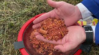 Benzar Mix Etetőanyag Big Series Ponty Kárász 3Kg videó