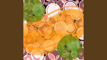 Sensational Backdrops for Wonderful Vibes