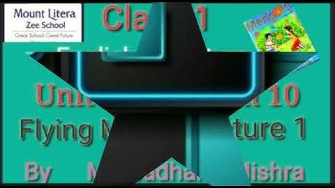 MLZS JHANSI CLASS 1 English Literature Poem 10 Flying Man