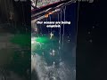 This is an ocean slaughterhouse