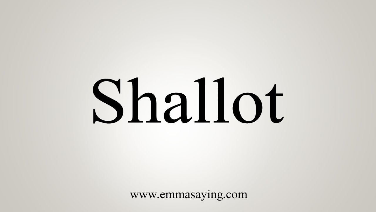 SHALLOT definition in American English