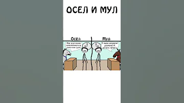 А вы знаете как различить Осла и Мула ? #академияброкколи #shorts #осел #мул #авызналиэто #животные