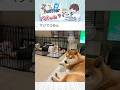 【 す ま ん 】笑わずにはいられないバズりツイート集！ Part 58