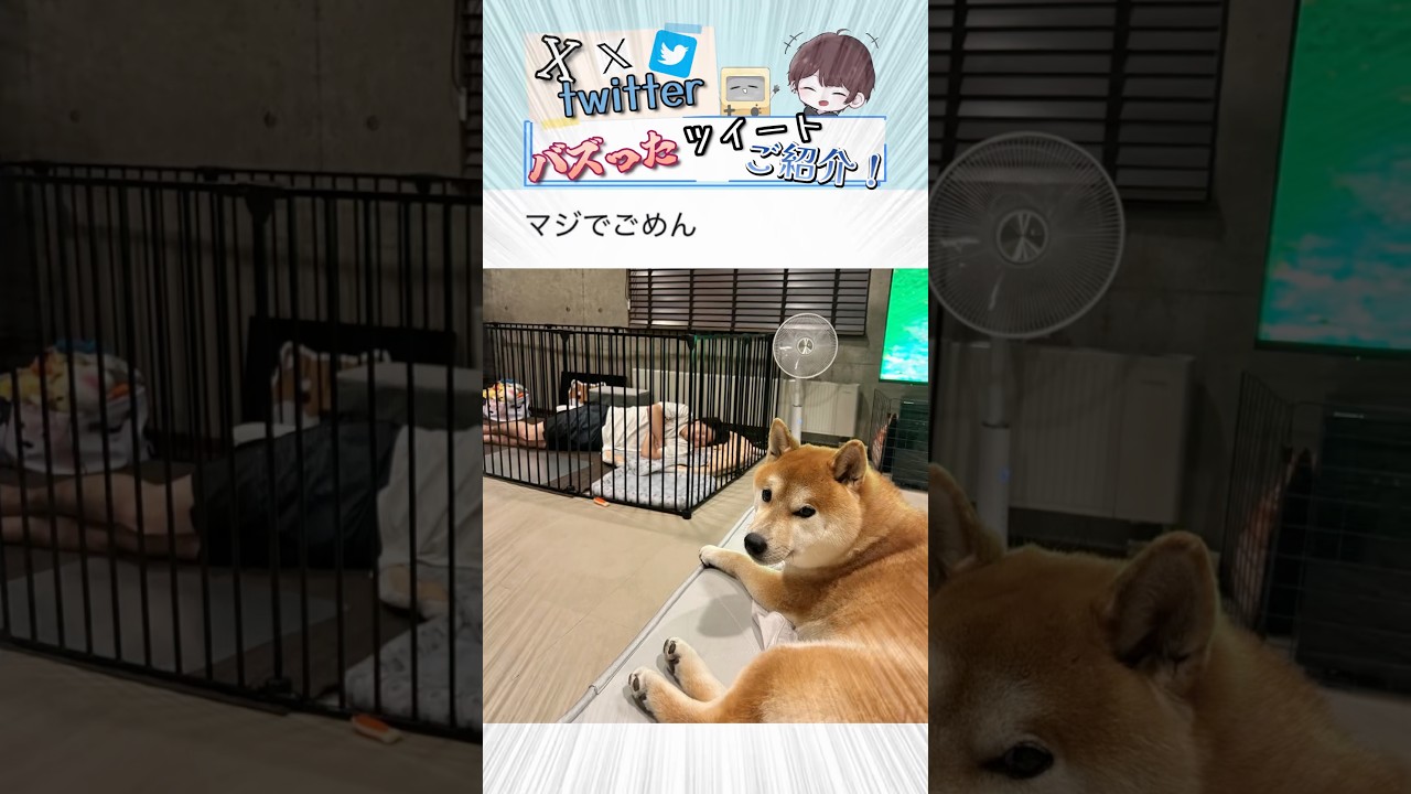【 す ま ん 】笑わずにはいられないバズりツイート集！ Part 58