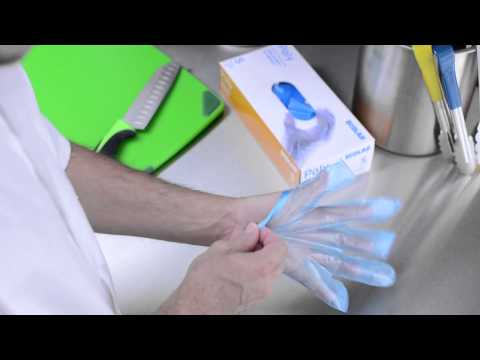 Poly, Vinyl & Nitrile Gloves | Food Handling & Cleaning