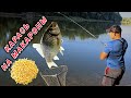 КАРАСЬ Срывает удочку!!!  Насадка макароны для Карася летом,июлю 2025.