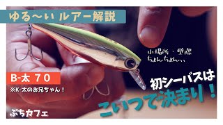 【ゆる〜いルアー解説】小場所・壁際のちょんちょんが最強!初シーバスを釣ったB太を解説します!【シーバス】