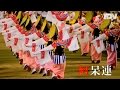 豪快で華麗 阿呆連の阿波踊り "Aho-ren": Its Dynamism and Beauty