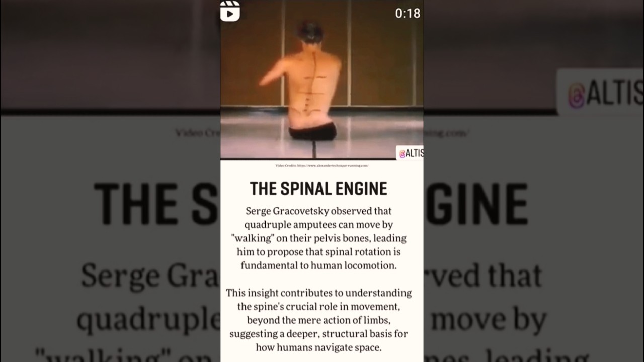 Spinal Engine Theory on locomotion