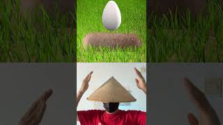 Buried Inside An Egg facts crabgrass funny