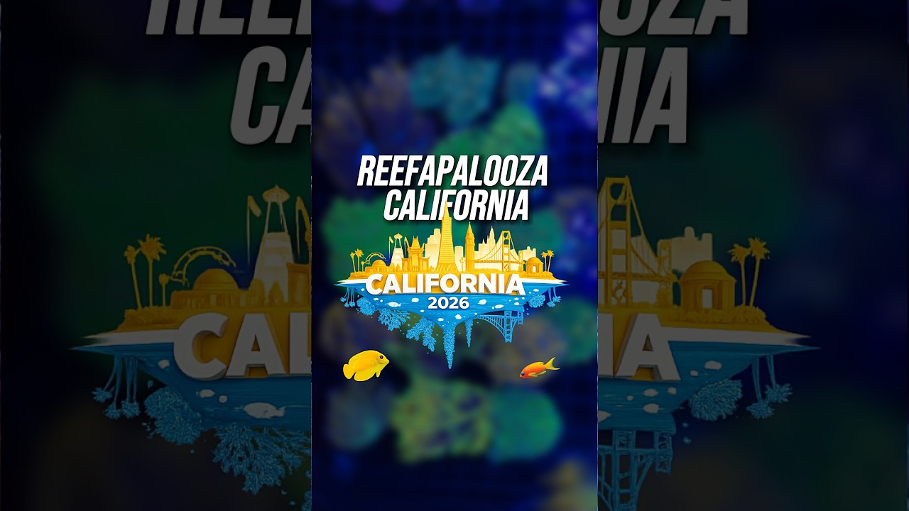 Ready to score the absolute best frags at Reefapalooza California? 🌊 #reefapalooza #reeflife