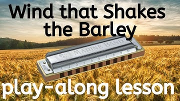 Wind That Shakes the Barley (Reel) | Irish folk song play-along harmonica lesson