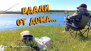 Рыбалка в конце мая. В поисках рыбы. Рыбалка на донки. Охота на карася