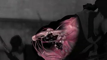 Sniper Elite 4 Multiplayer Gameplay - Multikill on CTF Bunker