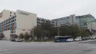 Texas scientist's work helped COVID-19 vaccine