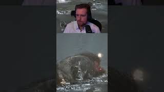 Der krasseste Black Müff Wukong Bossfight – Uncut Version jetzt onli... | #corruptedring auf #Twitch