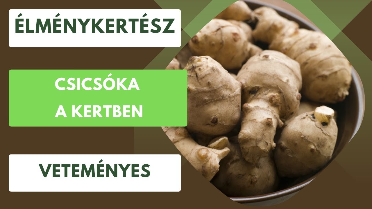 Csicsóka a kertben🫚
