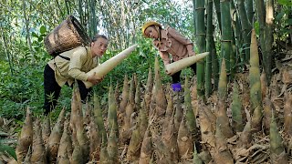 Harvesting bamboo shoots and picking wild vegetables to sell with my daughter |Tương Thị Mai