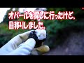 オパールを探しに行ったけど、目移りしました。