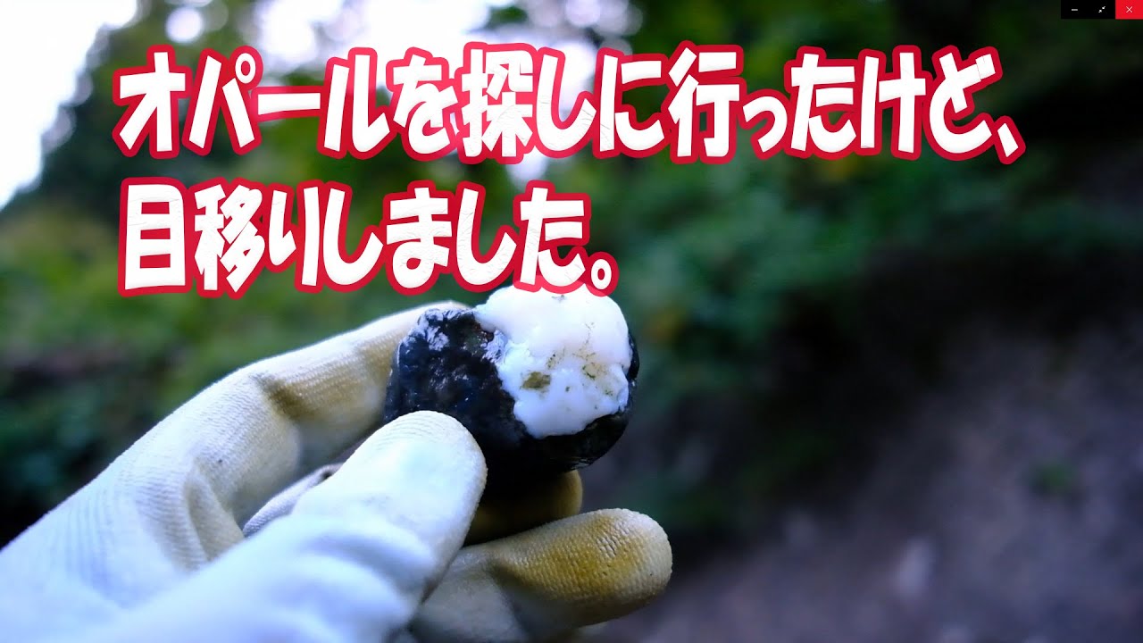 オパールを探しに行ったけど、目移りしました。