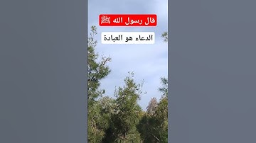 قال رسول الله ﷺ #صلوا_على_النبي #احاديث #اذكار #اكسبلور #قرآن #islamicvideo #islam