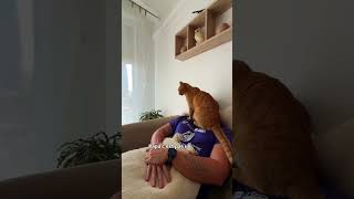 Laissez moi tranquille sur mon humain à chat 🐱 #animalshorts #chat #chatroux #funnyvideo #catlove Laissez moi tranquille sur mon humain à chat 🐱 #animalshorts #chat #chatroux #funnyvideo #catlove