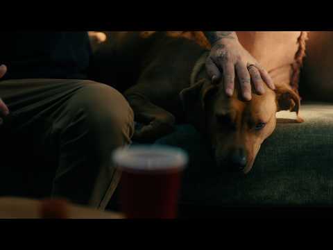 Dirty Heads - One Of Those Days (official Music Video)