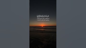 سورة الروم ٢١القارئ بدر التركي #quran