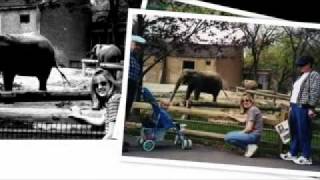 Amy's 40th birthday slideshow