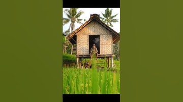 Thumbnail of A Tobacco Song Beneath the Field’s Sky