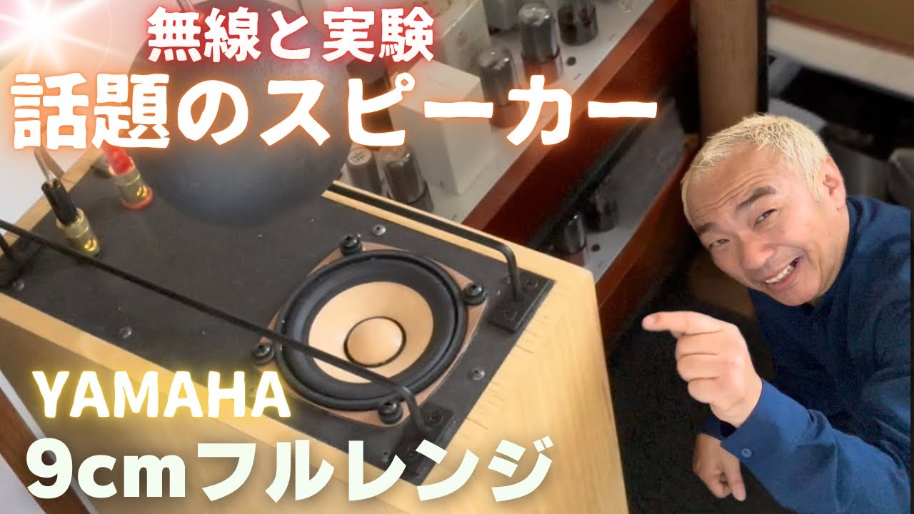 独Grundig アルニコ オーバル 国産古箱教室スピーカーエンクロージャーのみ 独Grundig アルニコ オーバル 国産古箱教室スピーカー