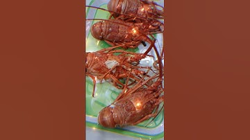 Chúc cả nhà có kỳ nghỉ lễ 30/4 thật vui