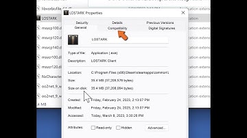 How to Fix Lost Ark Not Launching?