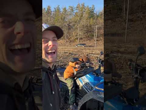 Video: Vad är sladd i skogsbruket?