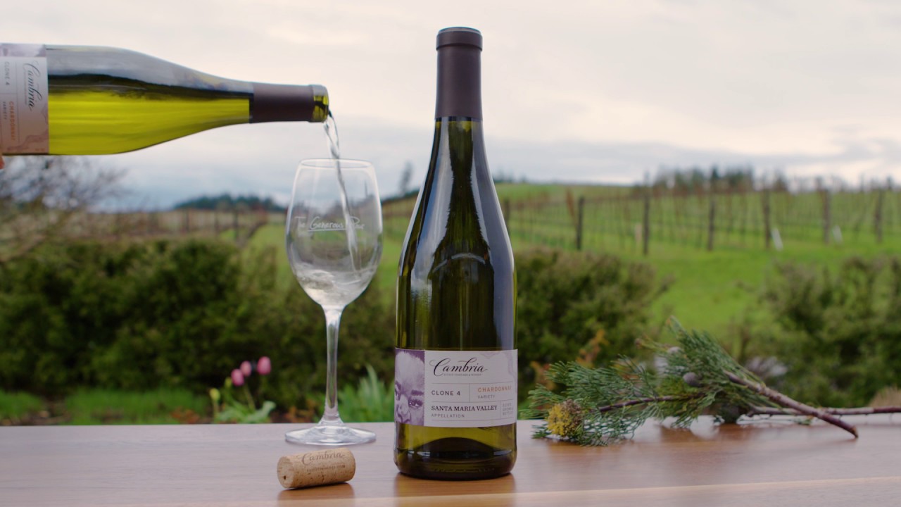 Intro to The Generous Pour. 2017.