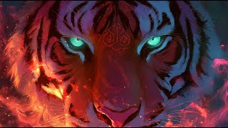The Music King - Born to Be a DJ Tiger (Break the System)