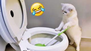 Best Funny Cats And Dogs Videos 😍 - Funniest Animal Videos 2024 😁 #7