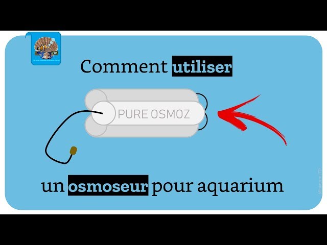 Choisir un osmoseur pour aquarium : définition et explications