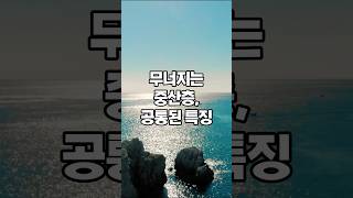 무너지는 중산층, 공통된 특징 #돈버는법 #경제