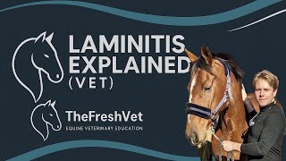 Laminitis: The Complete Vet Guide (clinical signs, management and treatment)