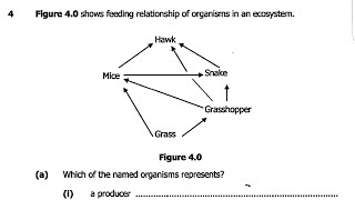 2016 Biology paper 2(GCE)- Food chain\/Ecology exam revision questions and answers