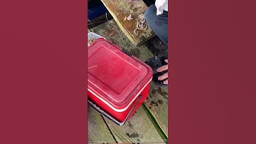 Câu Cá Biển - Cảng Vũng Rô Phú Yên