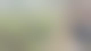 Machhali shahar ke bidhaayak  Jagdeesh sonakar ke bhaai karnjaakala ke pramukh ki dadagiri