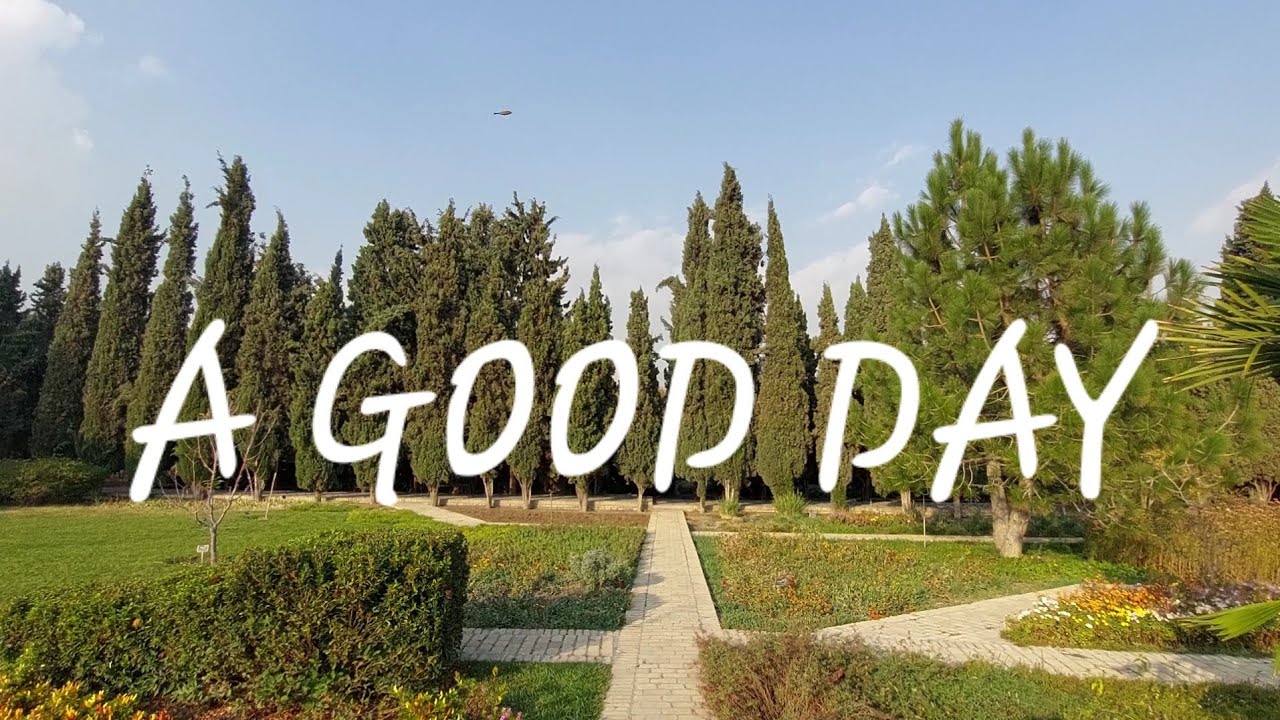 Escape the Stress: Find Peace and Tranquility in Nature