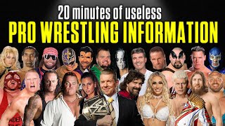 A Solid 20 Minutes Of Useless Professional Wrestling Information