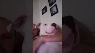 - - Gemma Doing What She Does Best... - - Being Weird... - - Lol... - -